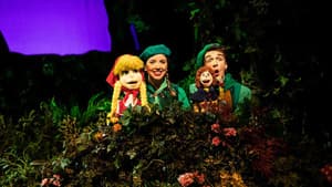 Sprookjesboom de Musical — foto 5