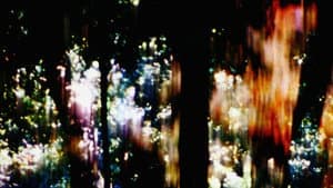 Trees of Syntax, Leaves of Axis — foto 1