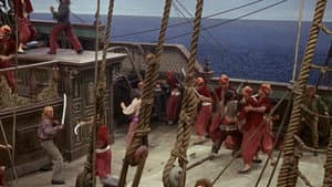 The King's Pirate — foto 5