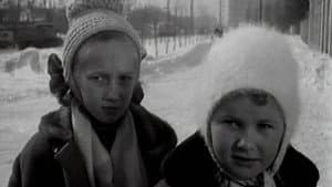 Дай лапу, Друг! — foto 1
