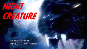Night Creature — foto 4