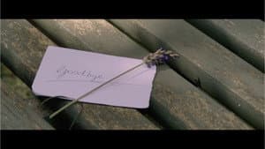 Lavender Whispers — foto 7