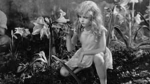 The Magic Garden — foto 1