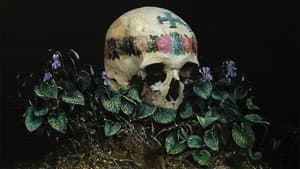 Hagazussa — foto 3