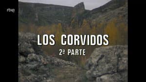 Episodio 53