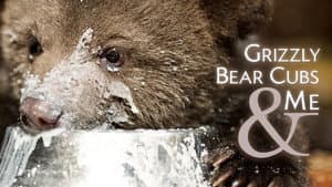 Grizzly Bear Cubs and Me — foto 2