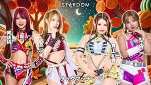 第15回 ゴッデス・オブ・スターダム ～タッグリーグ戦～ in IWAKI — foto 3