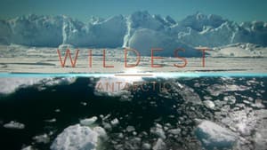 Wildest Places — foto 1