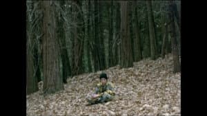 Pine Flat — foto 6