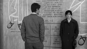 Os Verdes Anos — foto 2