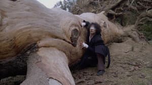 Whalesong — foto 1