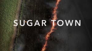 Sugar Town — foto 2