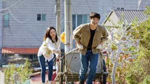 감동주의보 — foto 4