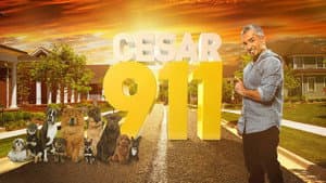 Cesar 911 — foto 2