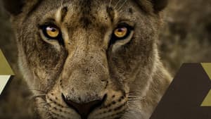 Malika the Lion Queen — foto 3