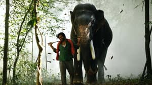 காடன் — foto 8