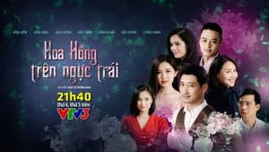 Hoa hồng trên ngực trái — foto 2
