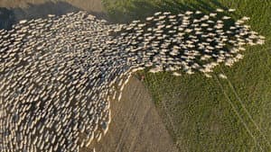 Wild & Wool — foto 1
