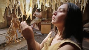 SG̲aawaay Ḵ'uuna — foto 6