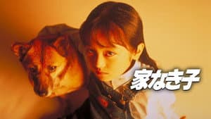 家なき子 — foto 2