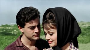 Bütün Suçumuz Sevmek — foto 2