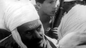 Algérie 1962: Chronique d'un conflit — foto 1