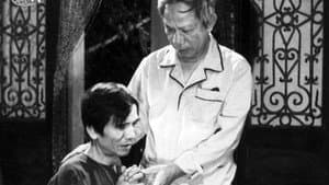 Tướng Về Hưu — foto 3