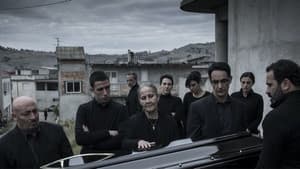 Anime Nere — foto 1