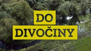 Do divočiny! — foto 1
