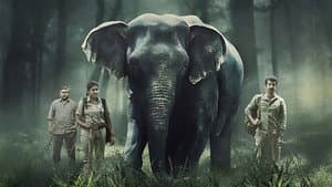 Poacher — foto 5