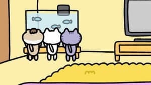 Episodio 10