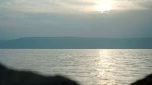 Episodio 8