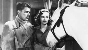 Stallion Road — foto 1
