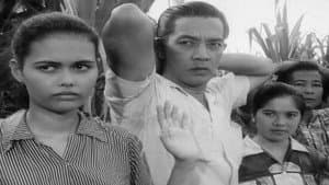 The Moises Padilla Story — foto 1
