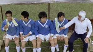 波牛 — foto 5