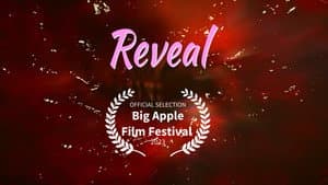 Reveal — foto 1