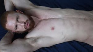 Gingers — foto 3