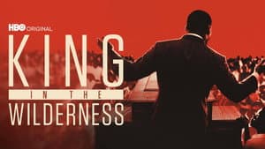 La Lucha Pacífica De Martin Luther King — foto 2