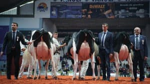 El sistema de la leche — foto 11