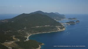 五島のトラさん — foto 1