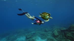 Ultimate Freedive: The Great Barrier Reef — foto 4
