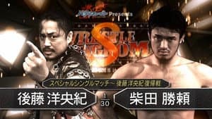 NJPW Wrestle Kingdom 8 — foto 6