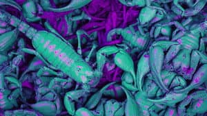Ultraviolet — foto 4
