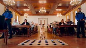 El juicio del perro — foto 3