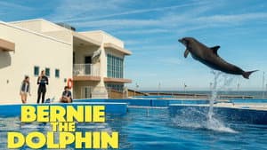 Bernie, el delfín — foto 2
