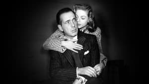 Bogart: Life Comes in Flashes — foto 1