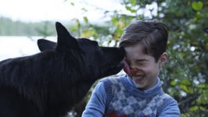 Jules au pays d’Asha — foto 3