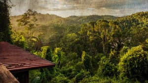 The Cannibal in the Jungle — foto 1