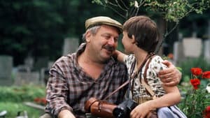 Jak dostat tatínka do polepšovny — foto 3
