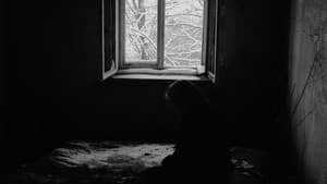 Patho Film, Wolfelsgrund — foto 10
